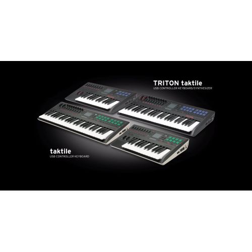 MIDI ( миди) клавиатура KORG TRITON Taktile-25